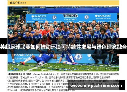 英超足球联赛如何推动环境可持续性发展与绿色理念融合 英超足球联赛如何推动环境可持续性发展与绿色理念融合