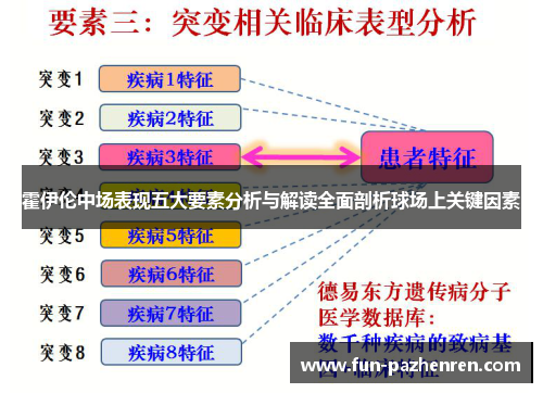 霍伊伦中场表现五大要素分析与解读全面剖析球场上关键因素